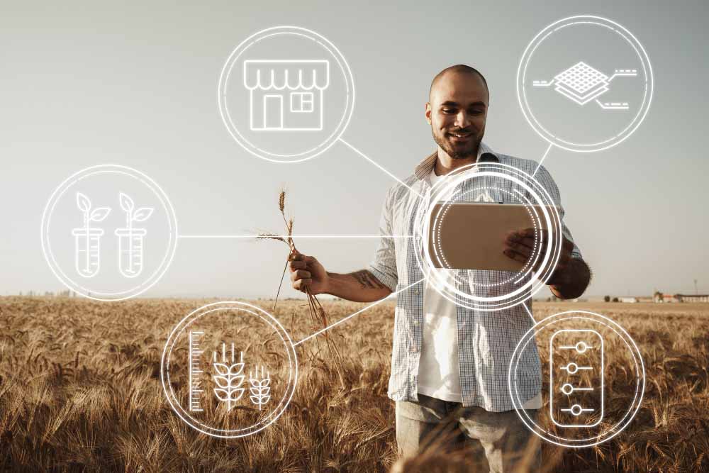 BSc International and Rural Development